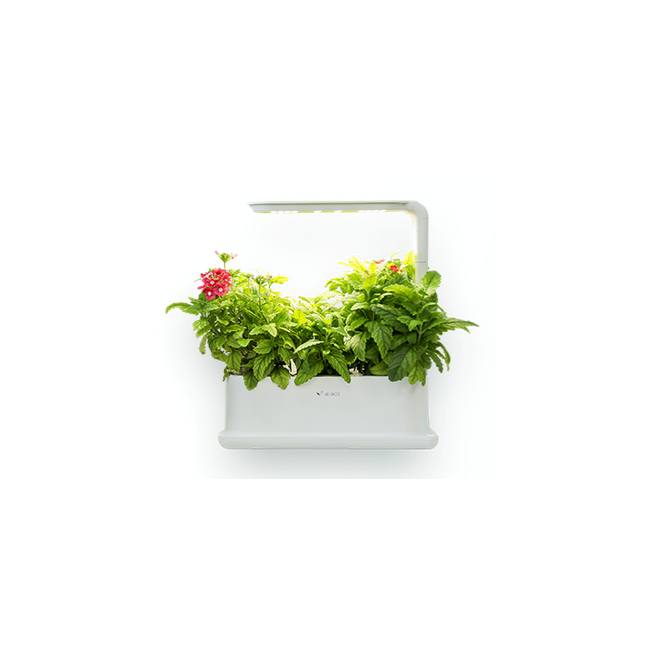 Inteligentna doniczka Desktop Flower Grow Box (3 rośliny)